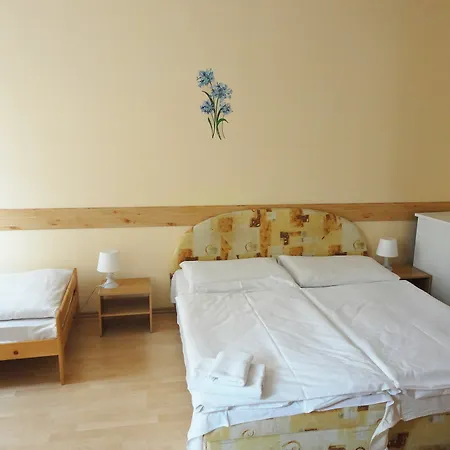 Hotel Jizera 3* Karlovy Vary
